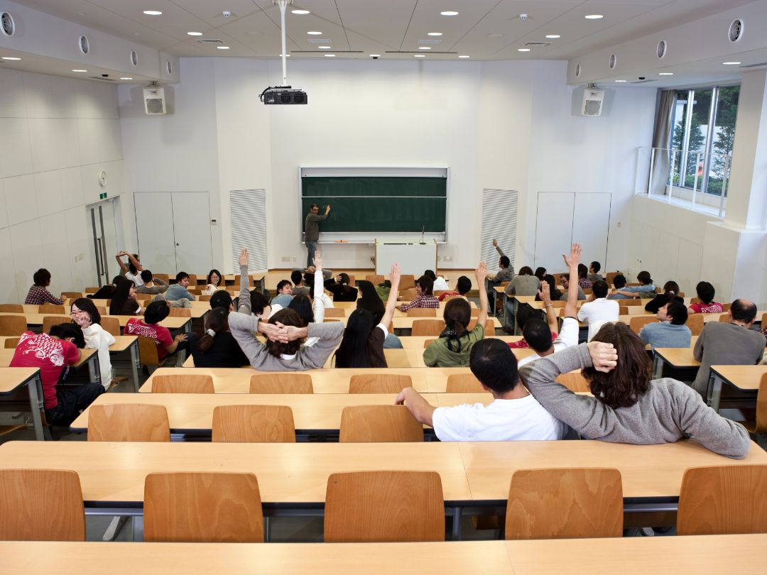 muebles para universidades al por mayor